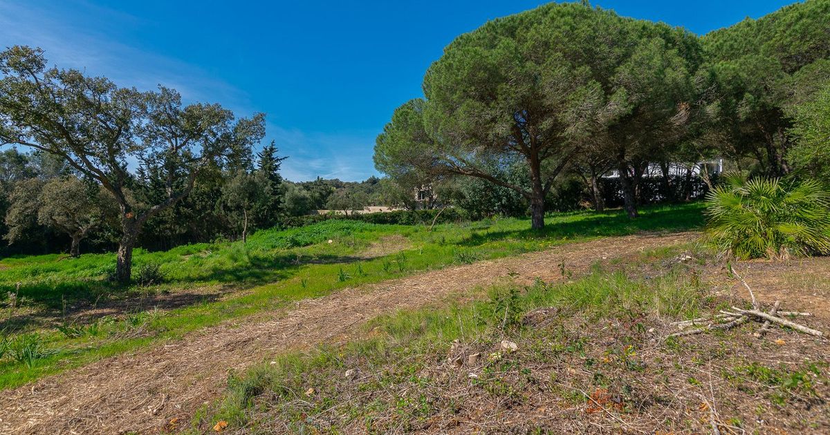 Wohngrundstück in Sotogrande Alto, Sotogrande Alto, 12/12
