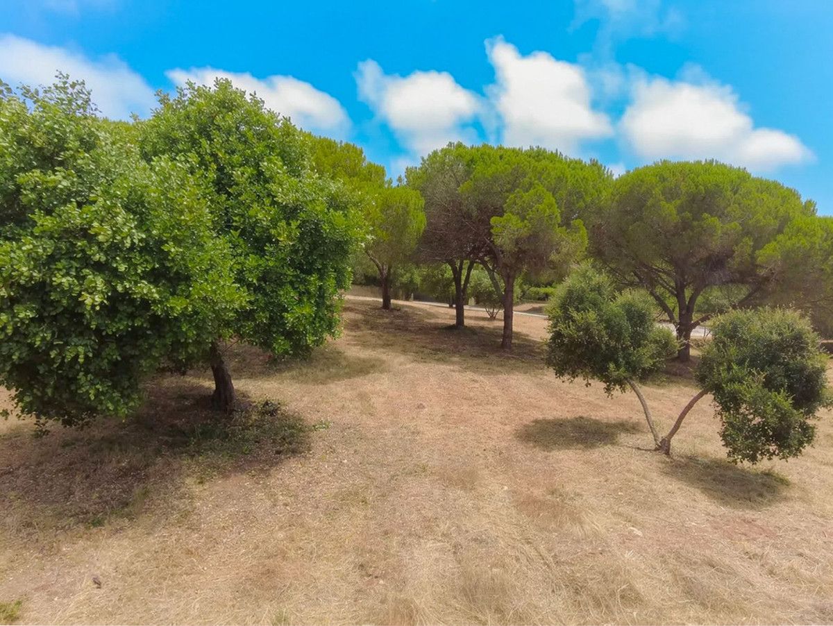 Wohngrundstück in Sotogrande Alto, Sotogrande Alto, 4/12