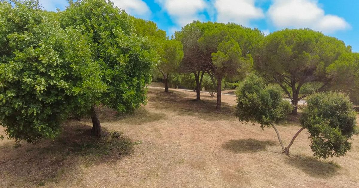 Wohngrundstück in Sotogrande Alto, Sotogrande Alto, 4/12