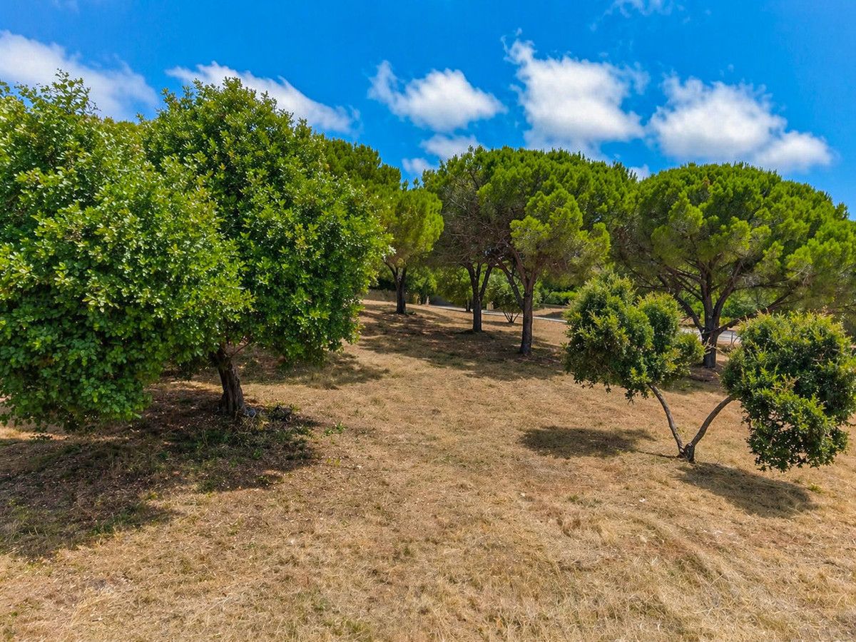 Wohngrundstück in Sotogrande Alto, Sotogrande Alto, 8/12