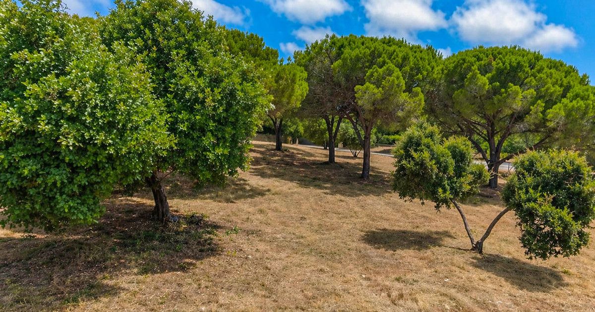 Wohngrundstück in Sotogrande Alto, Sotogrande Alto, 8/12