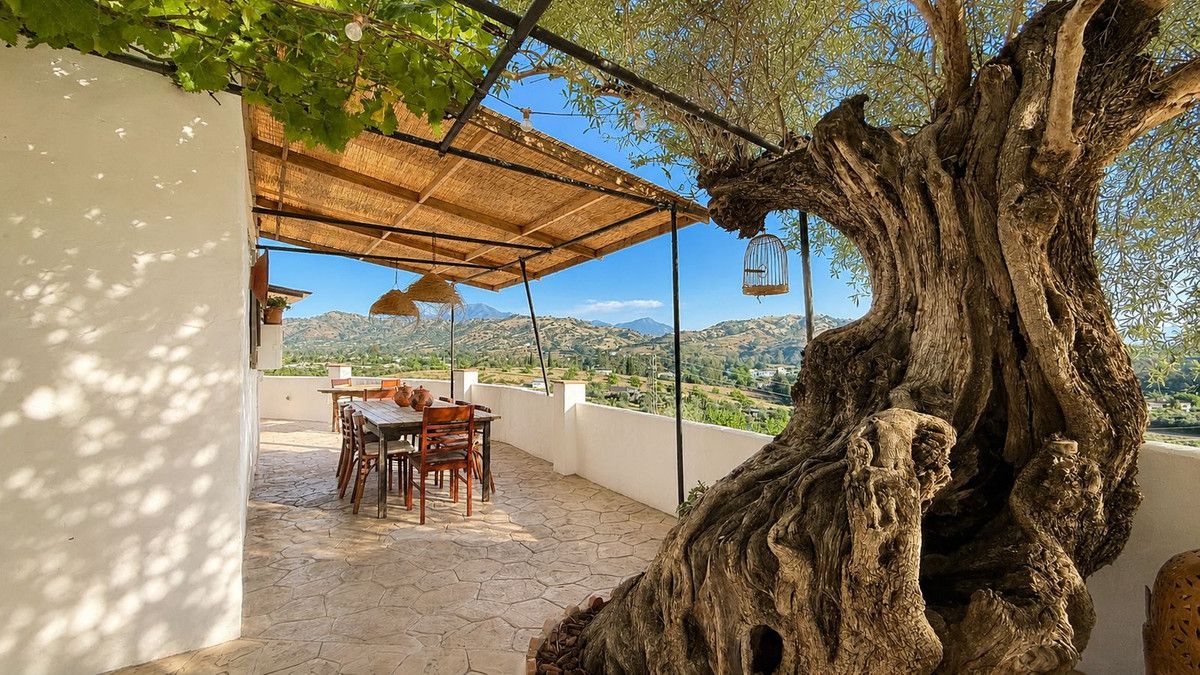 Finca - Cortijo in Coín, Coín, 4/12