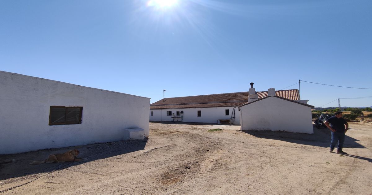 Maison de campagne à Ronda, Ronda, 3/12