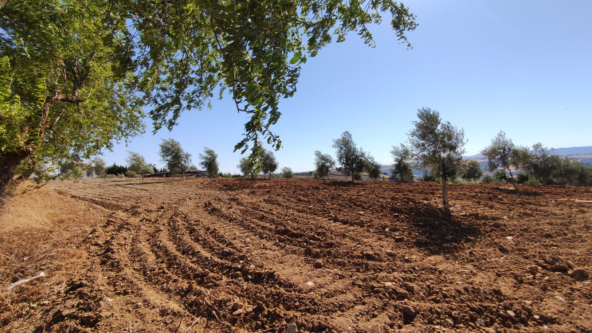 Maison de campagne à Ronda, Ronda, 6/12