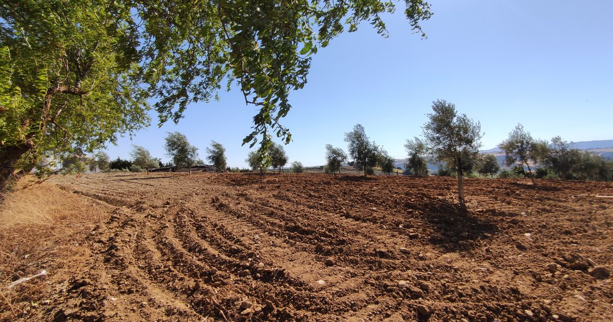 Maison de campagne à Ronda, Ronda, 6/12
