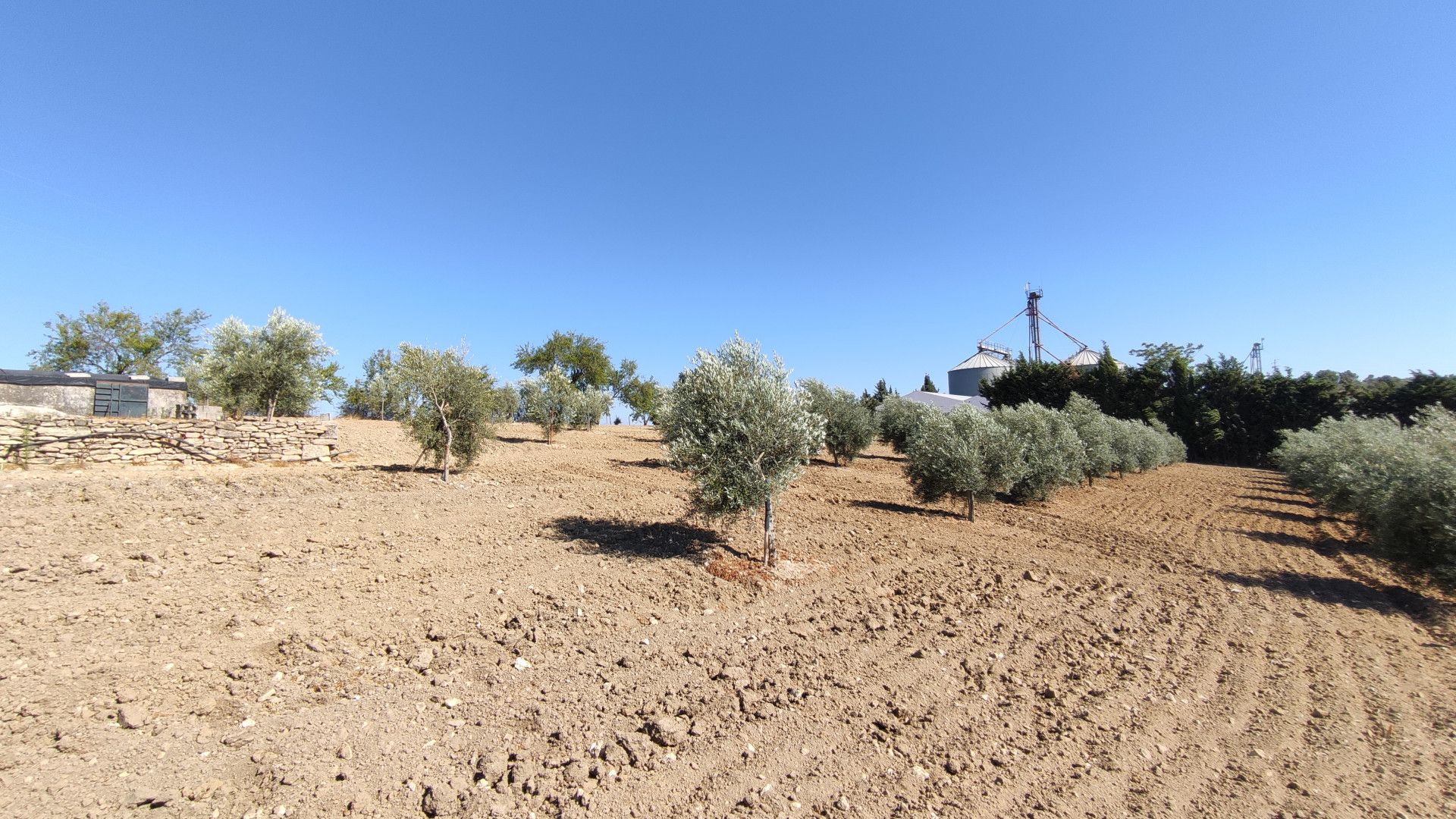 Maison de campagne à Ronda, Ronda, 10/12