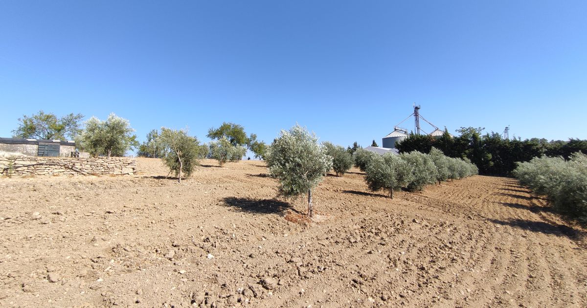 Maison de campagne à Ronda, Ronda, 10/12